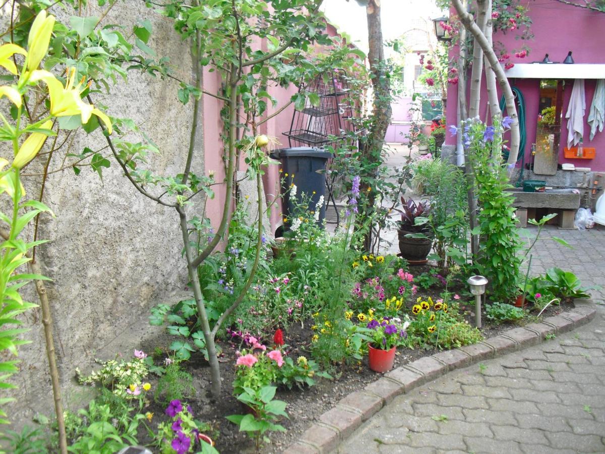 La Baraque Villa Colmar Luaran gambar